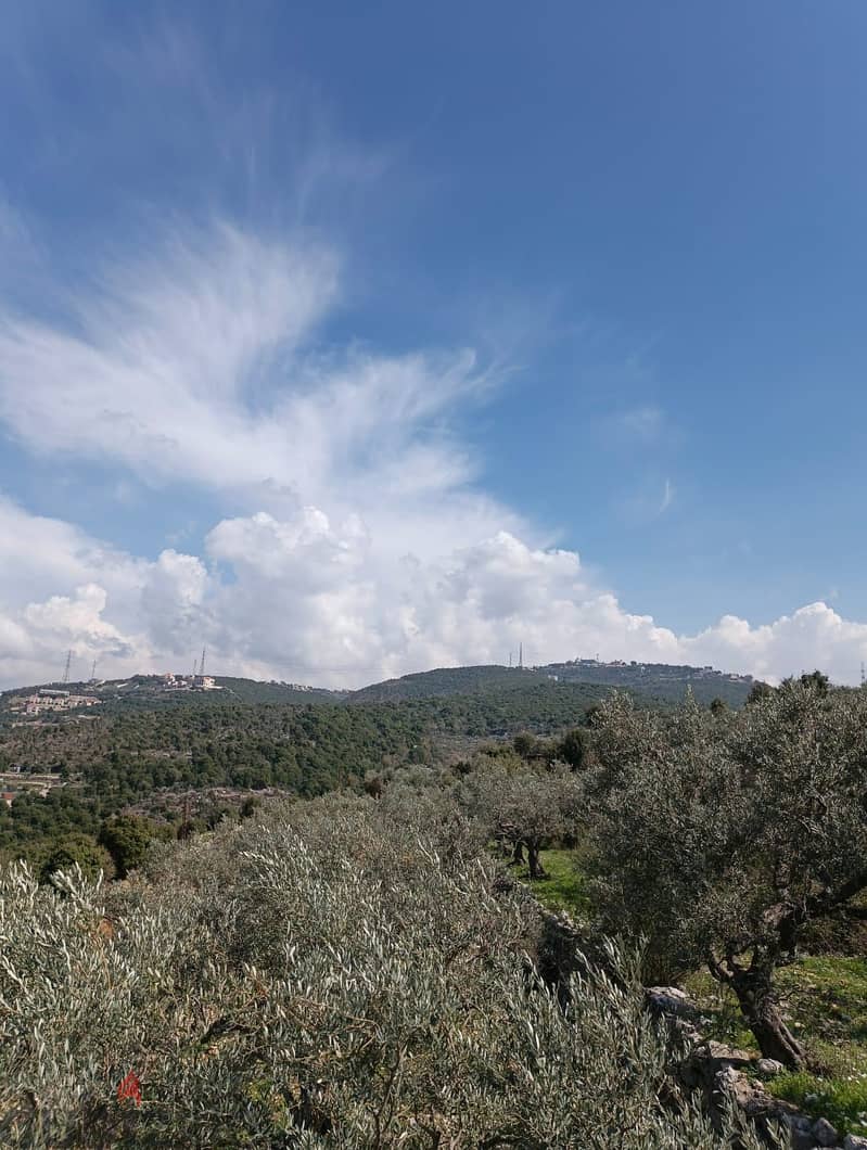 Land for sale in Chabtine batroun ارض للبيع في شبطين البترون 9