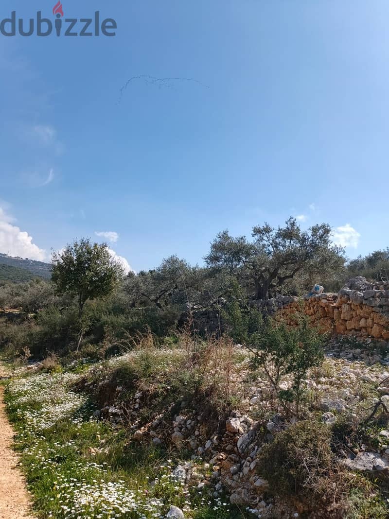 Land for sale in Chabtine batroun ارض للبيع في شبطين البترون 12