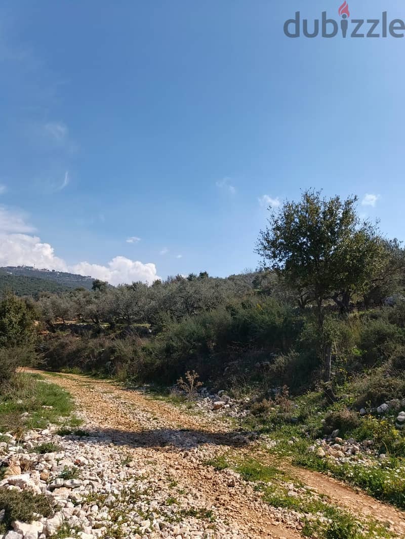 Land for sale in Chabtine batroun ارض للبيع في شبطين البترون 13