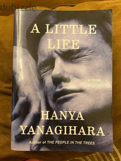 A Little Life Book