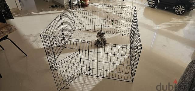 Puppy Dog Cage