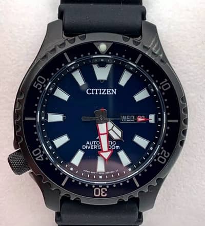 citizen promaster fugu automatic