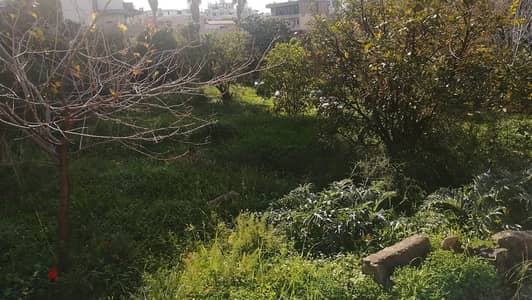 land 1032 sqm for sale in Jdeideh Ref#6514