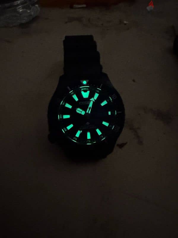 citizen promaster fugu automatic 4