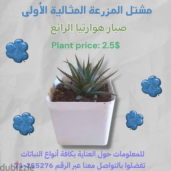 مشتل المزرعة المثالية الأولى 0