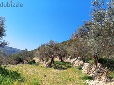 exclusive land for sale at jrabta batroun