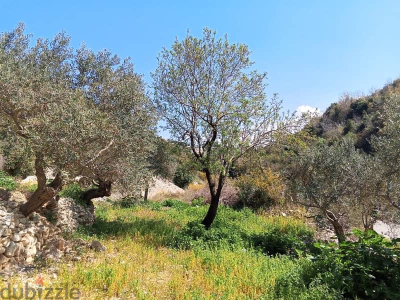 exclusive land for sale at jrabta batroun 1