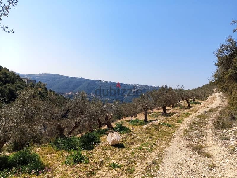 exclusive land for sale at jrabta batroun 3