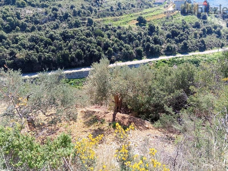 exclusive land for sale at jrabta batroun 4