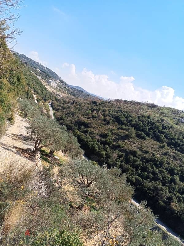 exclusive land for sale at jrabta batroun 7