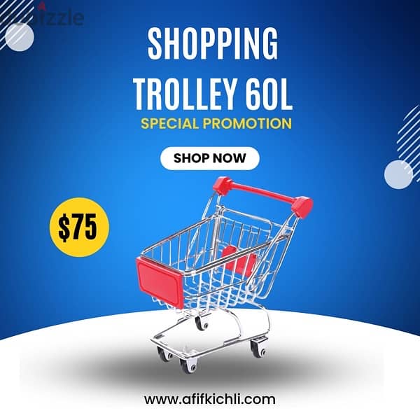 Trolley & Basket for Supermarket & Stores 4