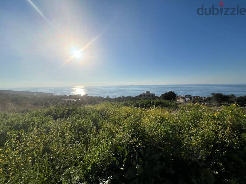 Land for sale in Batroun - أرض للبيع في باترون 1