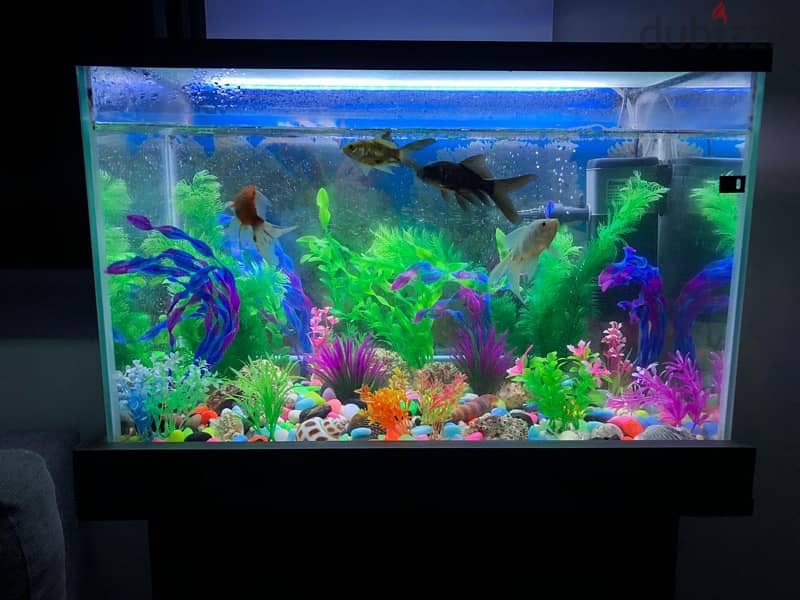 Aquarium with wood stand 0