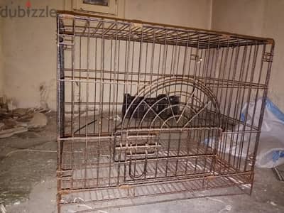 dog cage