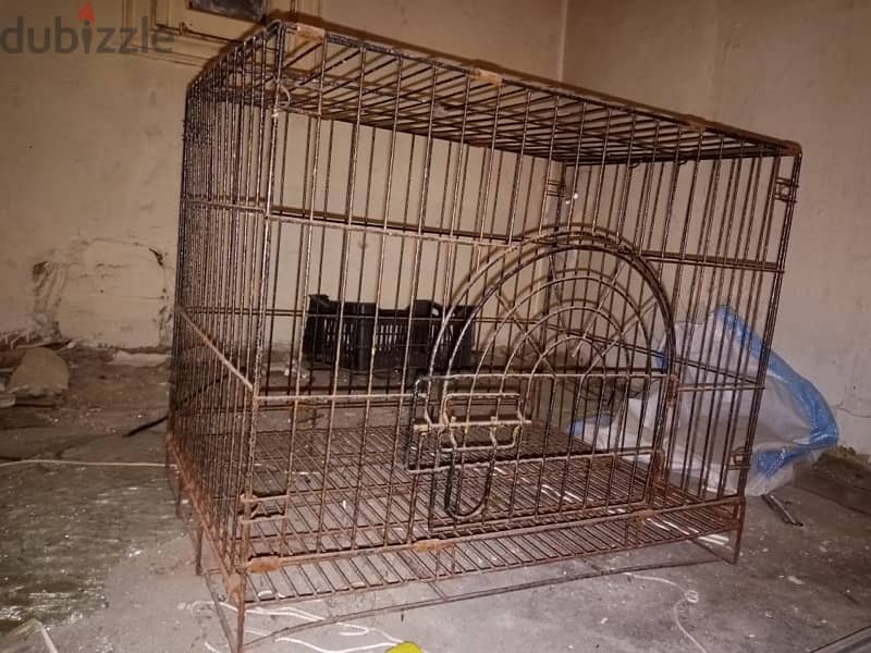 dog cage 1