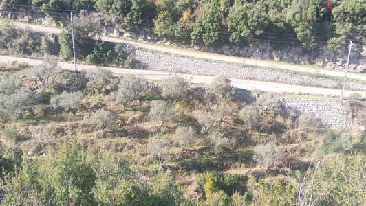 Land for sale in Batroun - أرض للبيع في البترون