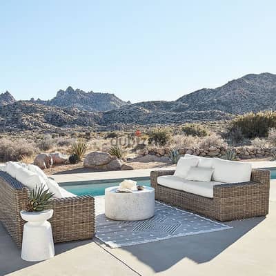 Crate and Barrel 2 outdoor sofas