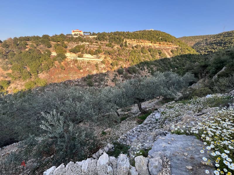 Land for sale in Chabtin - أرض للبيع في شبطين 0