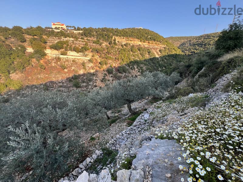 Land for sale in Chabtin - أرض للبيع في شبطين 2