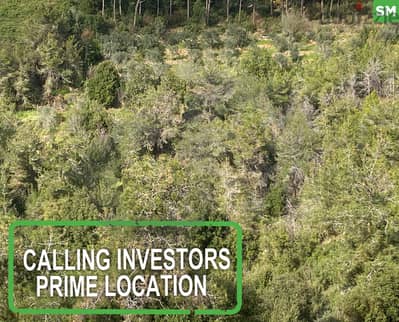 Calling Investors - Prime location- Bchamoun, Aley/بشامون REF#SM119051