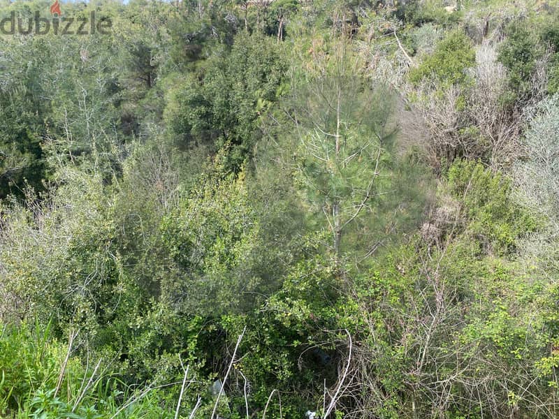 Calling Investors - Prime location- Bchamoun, Aley/بشامون REF#SM119051 1