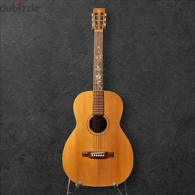 Ayers CSM 2005 Acoustic Guitar