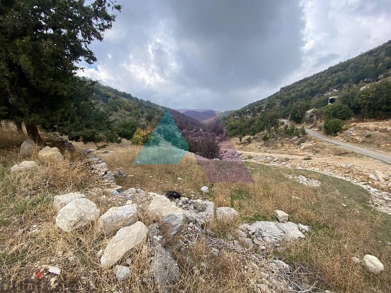 A 653 m2 Catchy Land  for sale in Mechmech | Jbeil - أرض للبيع في مشمش 1