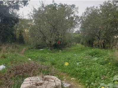 1285m2 Land in eddeh,Batroun عقار للبيع في اده ،البترون