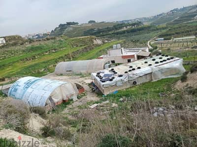 1592 Sqm | Land for sale in Nabatiyeh  الغسانية