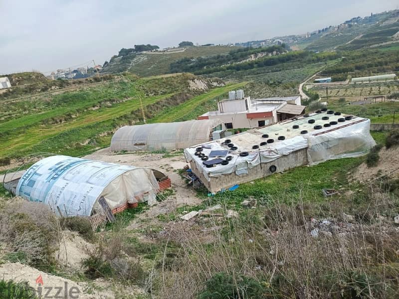 1592 Sqm | Land for sale in Nabatiyeh  الغسانية 0