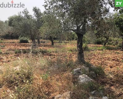 Land Investment in Akbeh – Zgharta/عقبه – زغرتا REF#ZY119082