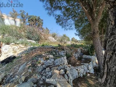 Land For SALE In Amshit أرض للبيع #AS