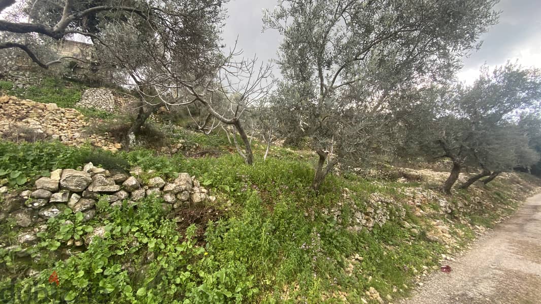 RWB126DL - Land for sale in Chabtine Batroun 2