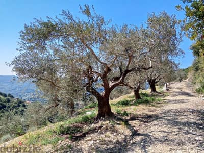 RWB133DL - Land for sale in Jrabta Batroun