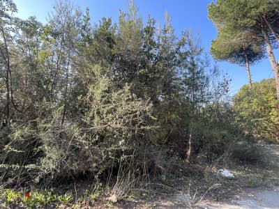 RWK348JA - 1227 SQM Land For Sale In Adma with a Breathtaking View