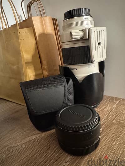 Canon Lens & Canon Adapter