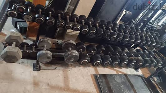 Dumbbells Rack GEO sport معدات رياضية متنوعة