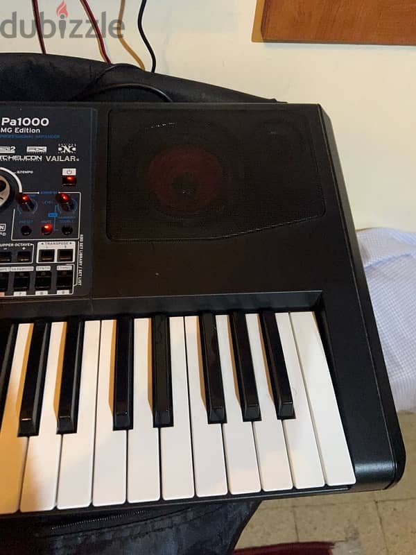 korg pa1000 MG 3