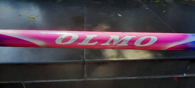 OLMO CHAMPION 28 6