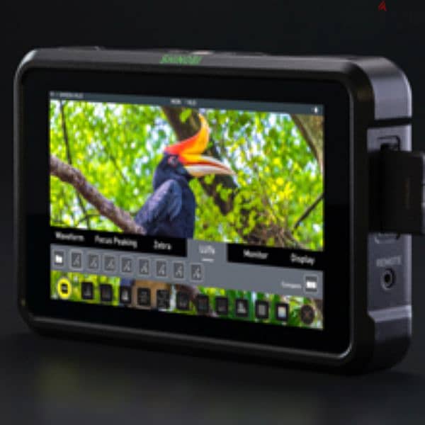 Atomos Shinobi 5.2" HDMI 0