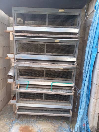 quail  cages