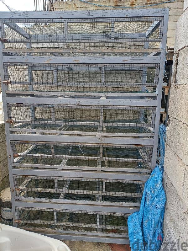 quail  cages 1