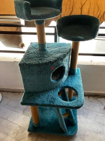 ستاند قطة Cat stand20$