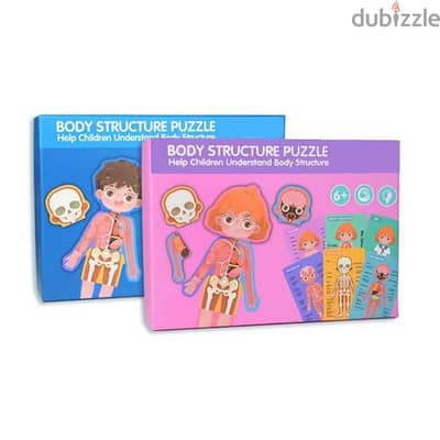 Human Body Structure Puzzle Toy