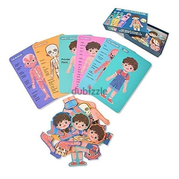 Human Body Structure Puzzle Toy 2