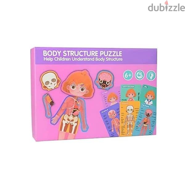 Human Body Structure Puzzle Toy 3