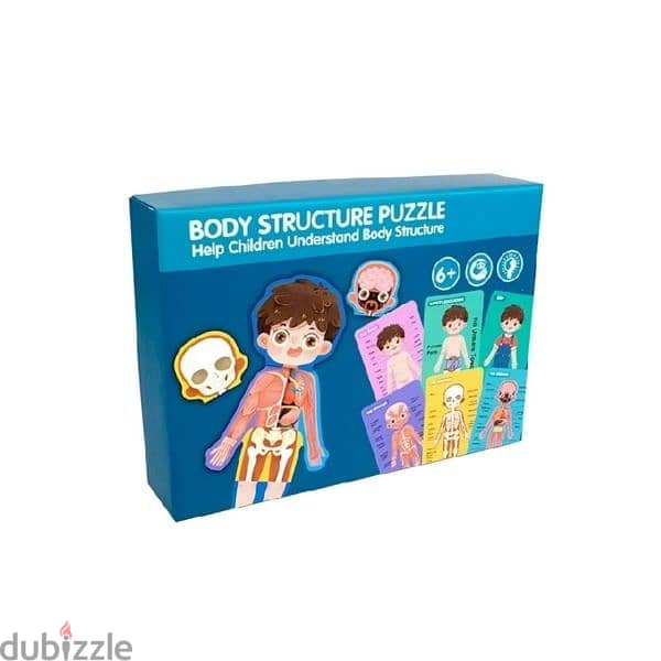 Human Body Structure Puzzle Toy 4