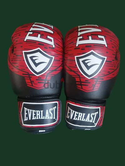 Boxing gloves Everlast