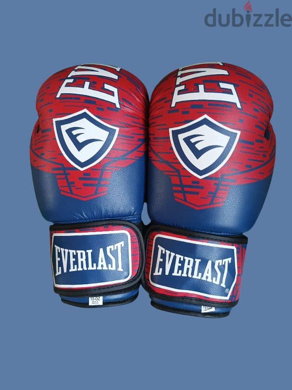 Boxing gloves Everlast 1