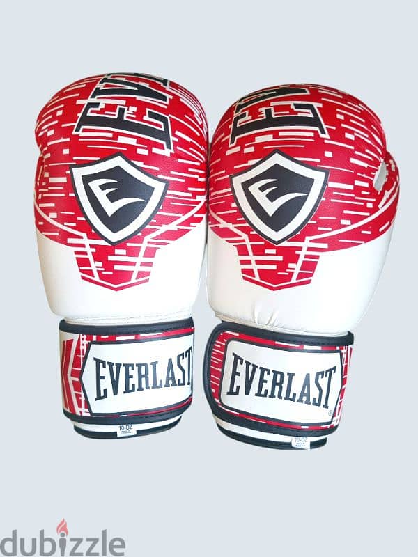 Boxing gloves Everlast 2